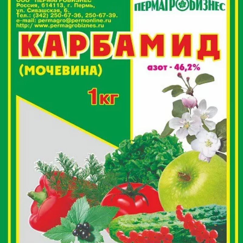 Карбонид