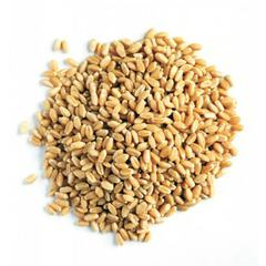 Пшеница зерно 10 кг #1
