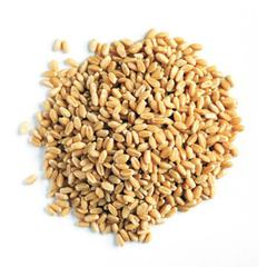 Пшеница зерно 40 кг #1
