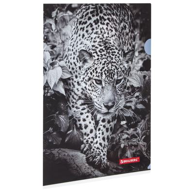 Папка-уголок  BRAUBERG, LEOPARD  А4, 150мкм, цветная печать 228040